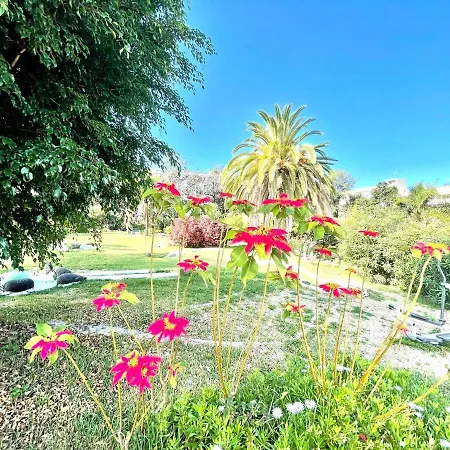 Bonito Estudio E Con Wifi, Piscinas En Puerto De La Cruz *