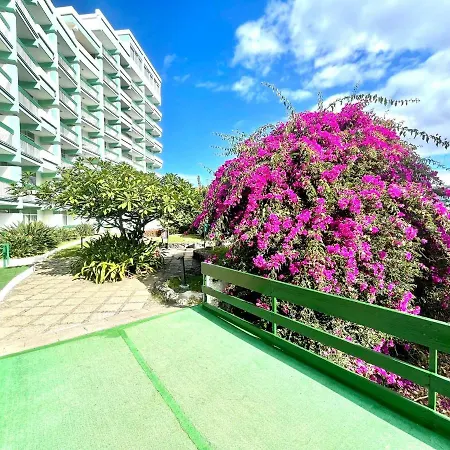 Bonito Estudio E Con Wifi, Piscinas En Puerto De La Cruz * Puerto de la Cruz (Tenerife)