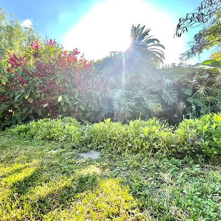 Bonito Estudio E Con Wifi, Piscinas En Puerto De La Cruz *
