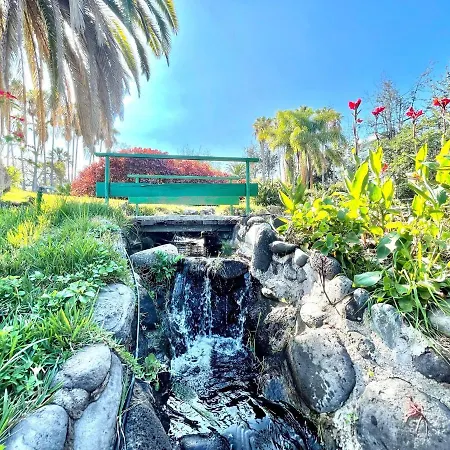 Bonito Estudio E Con Wifi, Piscinas En Puerto De La Cruz * 푸에르토 드 라 크루즈